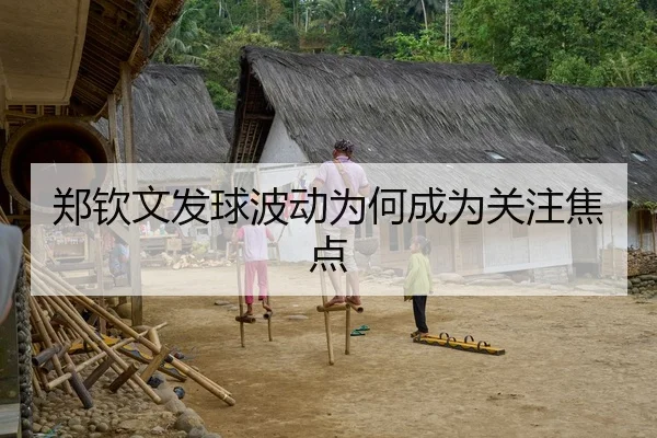 郑钦文发球波动为何成为关注焦点